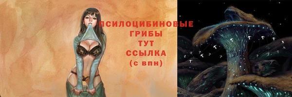 а пвп мука Алзамай