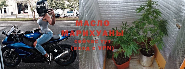мет Алексин
