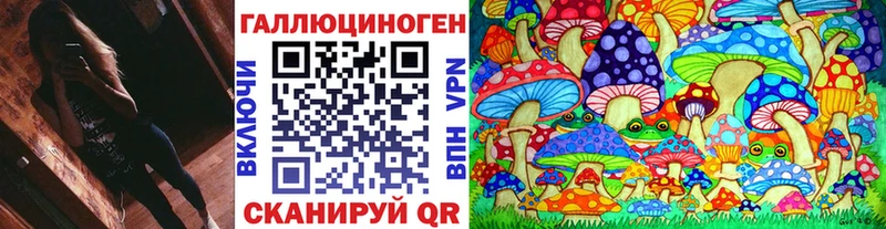 ОМГ ОМГ сайт  Любим  Галлюциногенные грибы Psilocybe 